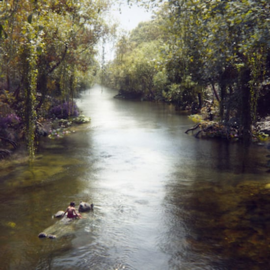 The Jungle Book Movie Pictures