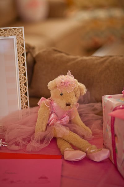 A Bear-y Cute Ballerina