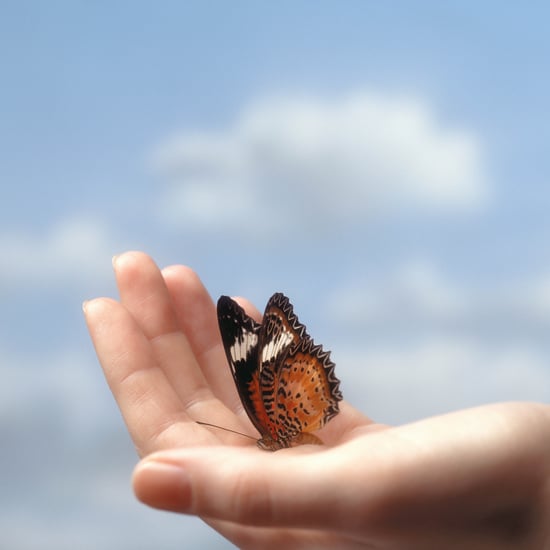 What Is the Butterfly Effect? A Therapist Explains