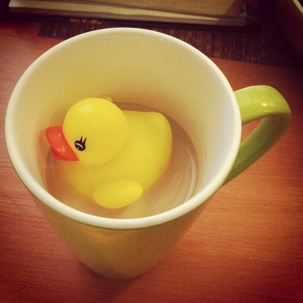 When He Thought Your Coffee Needed More Duck