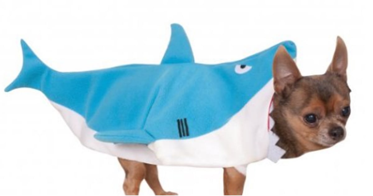 Bestselling Amazon Dog Costumes For Halloween 2016 POPSUGAR Pets