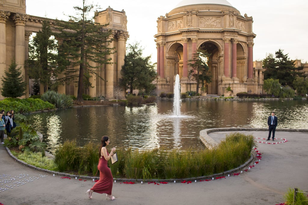 Proposal at the Palace of Fine Arts
