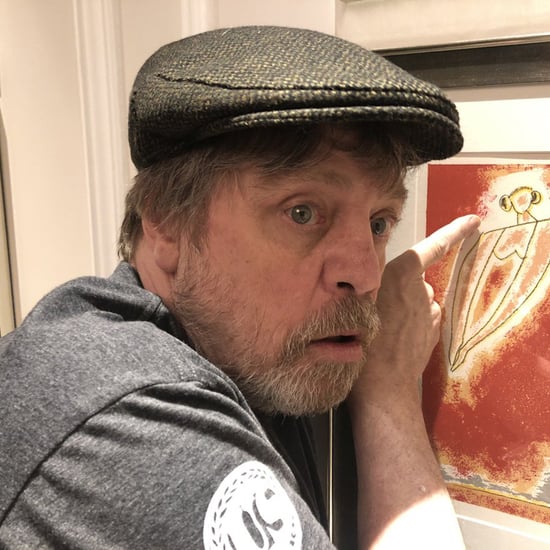 Mark Hamill Finds Princess Leia Painting in His Hotel Room