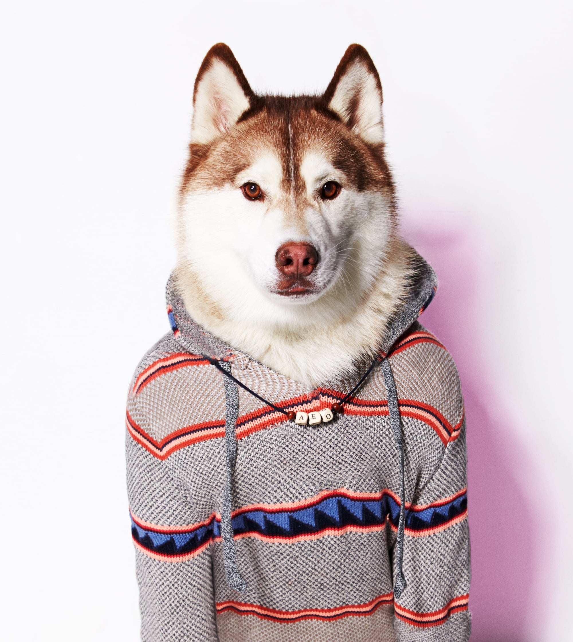 Abo dog deals sweater