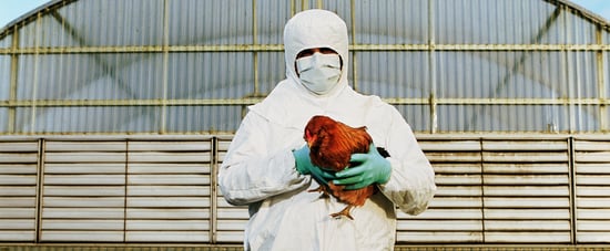 Could There Be a Bird-Flu Pandemic in People?
