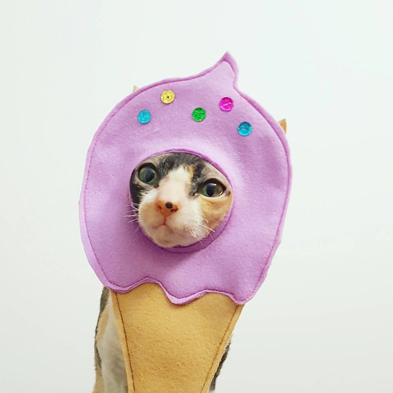 Ice Cream Cone Cat Hat