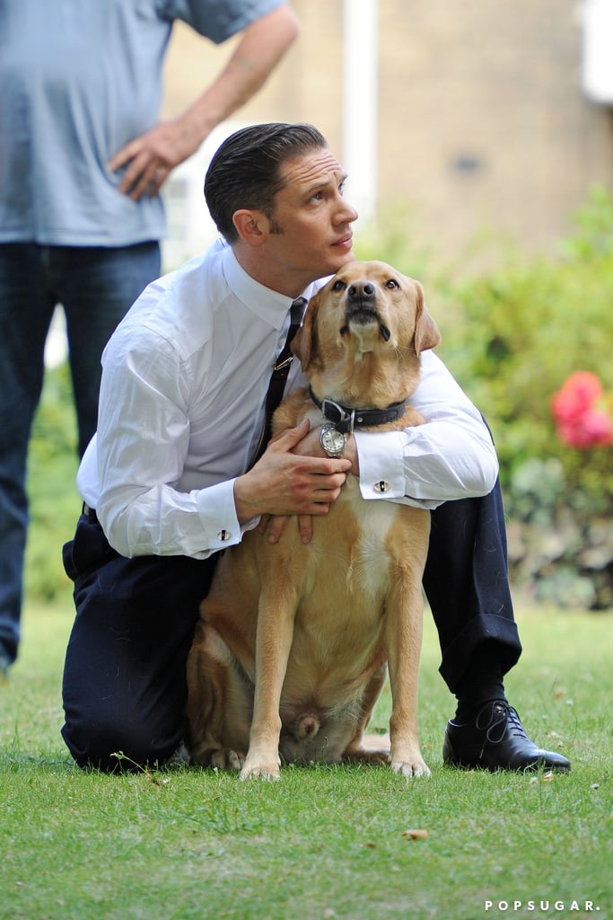 Tom Hardy With a Dog on the Set of Legend