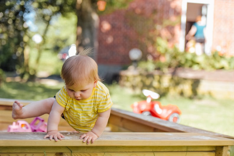 Curious Crawler