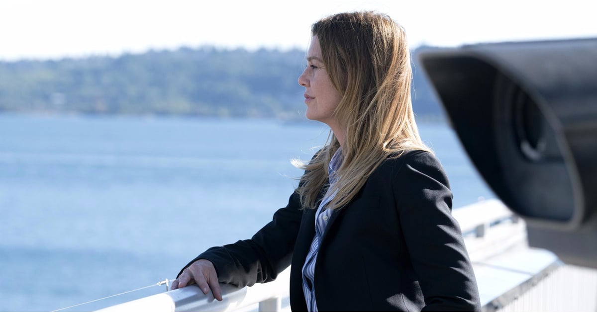 Is Meredith Going to Get Alzheimer's on Grey's Anatomy ...