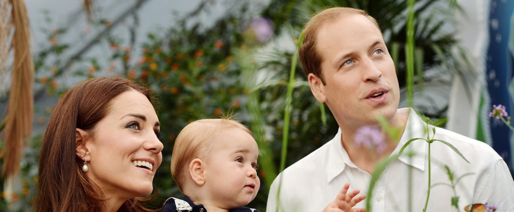 Prince George's First Birthday Portraits | Pictures