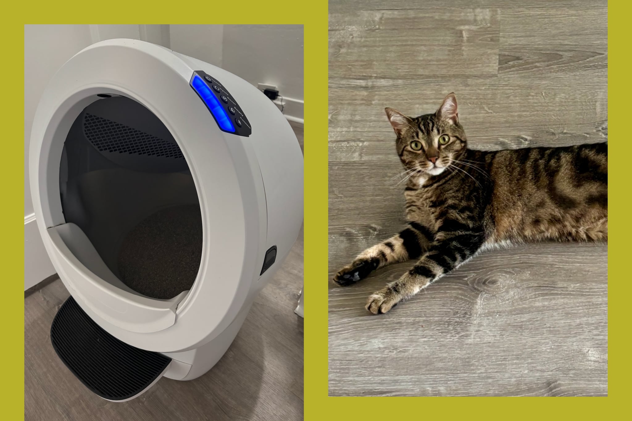 A side by side image shows a photo of the litter-robot on the right and a photo of a brown tabby cat lying down on the right.