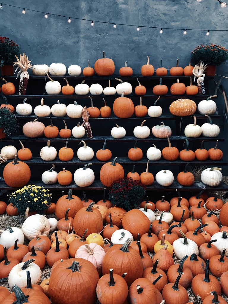 Aesthetic october pumpkin Wallpapers Download  MobCup