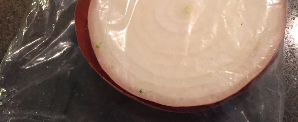 Half Onion in a Bag Twitter Account