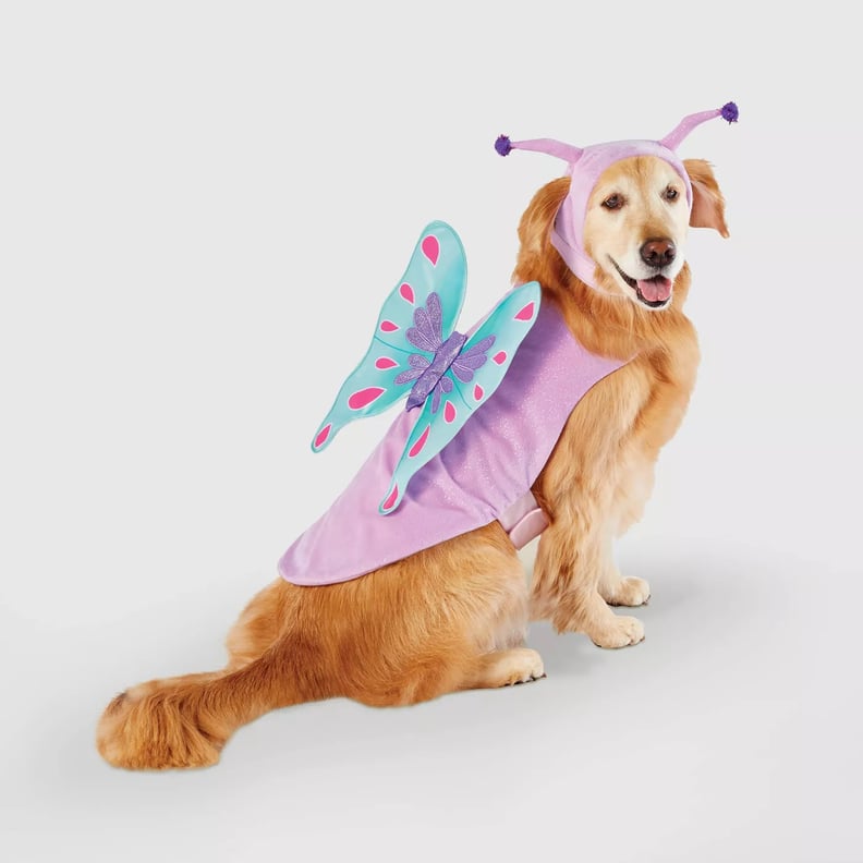 Butterfly Dog and Cat Costume