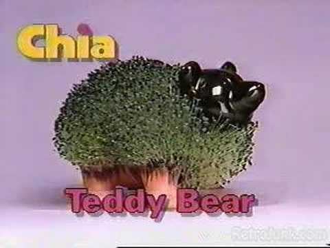 Chia Pet