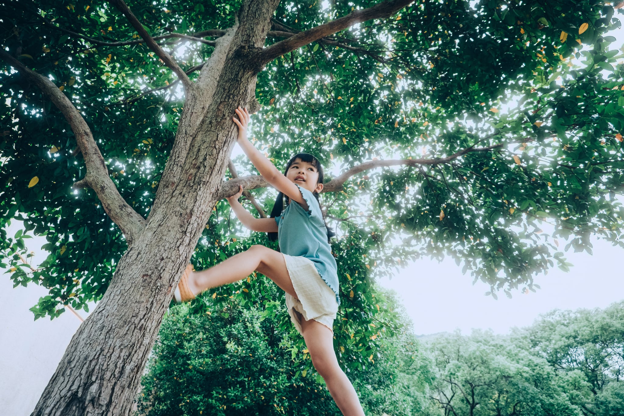Low angle shot of brave Asian girl climbing a tree in nature park, having fun outdoors in the summer.