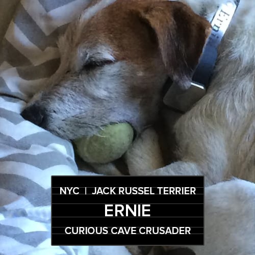Ernie