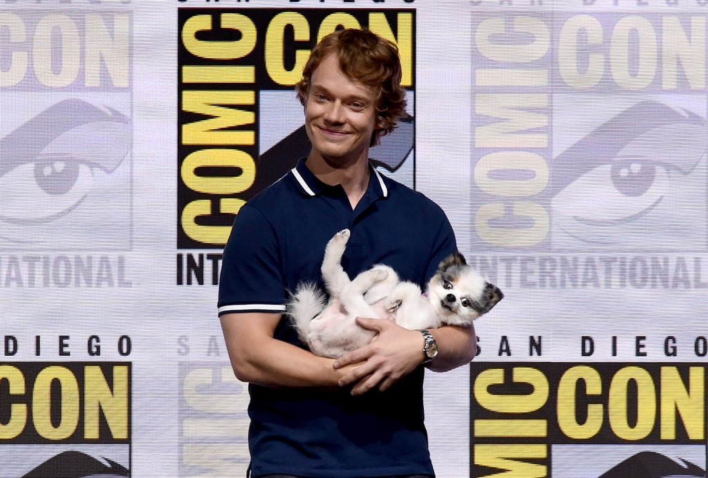 Alfie Allen