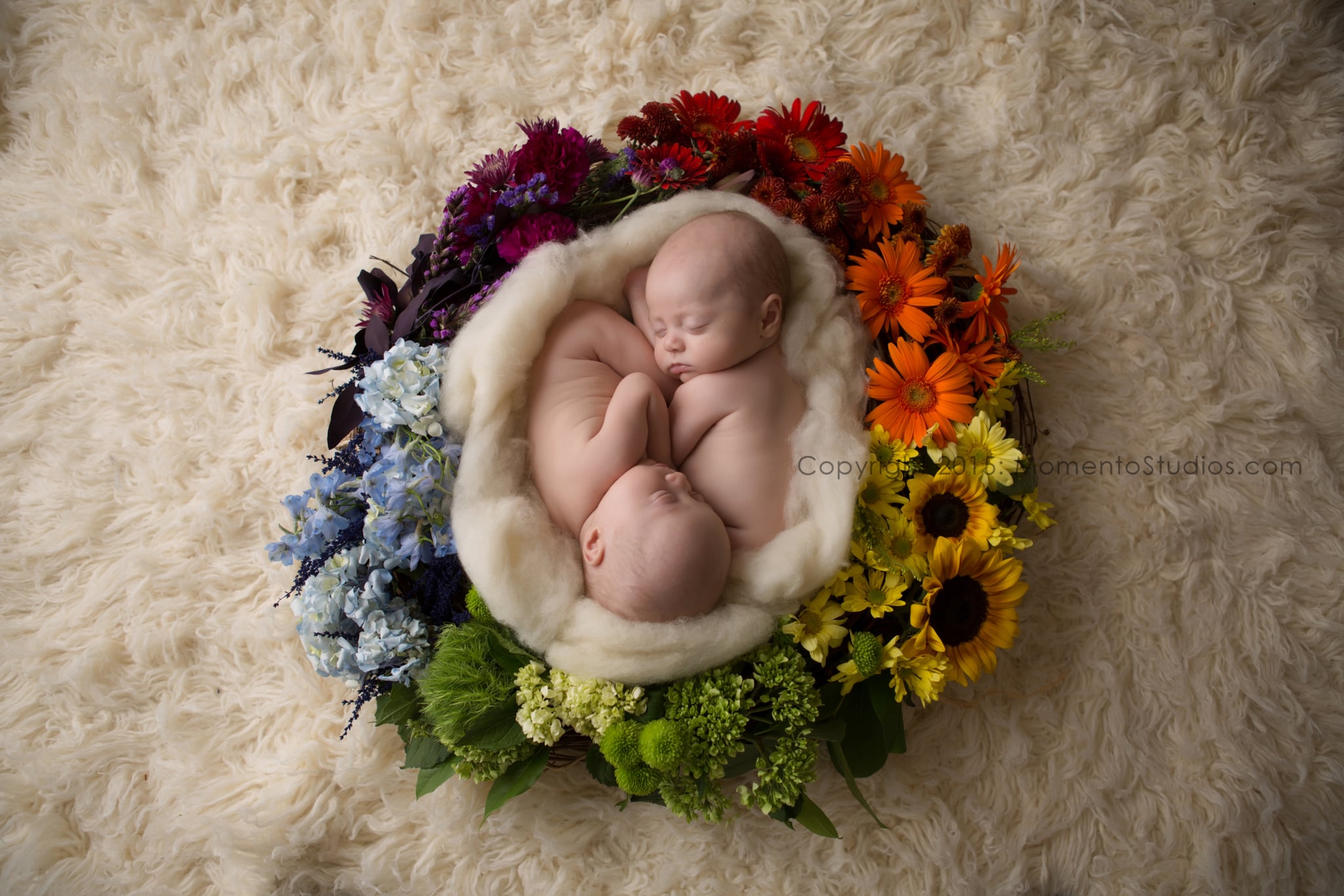 rainbow baby flowers
