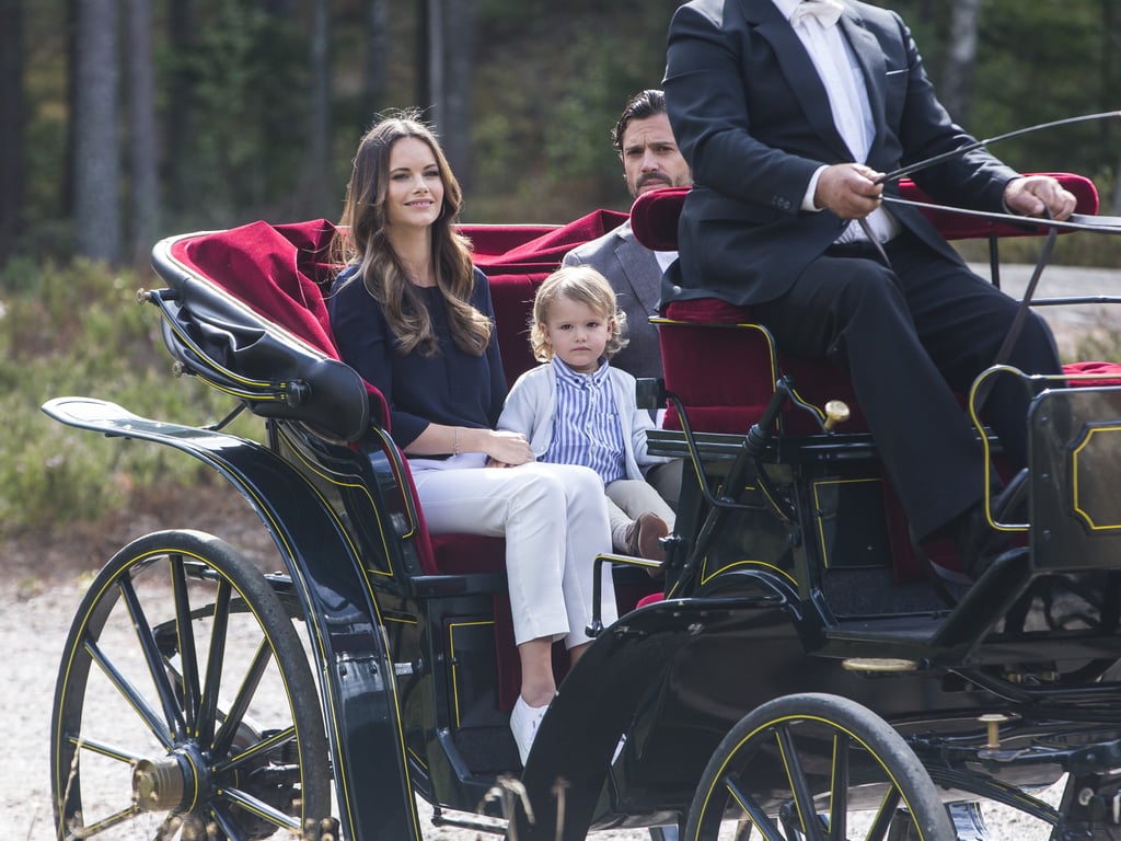 Prince Alexander's First Royal Engagement Pictures 2018