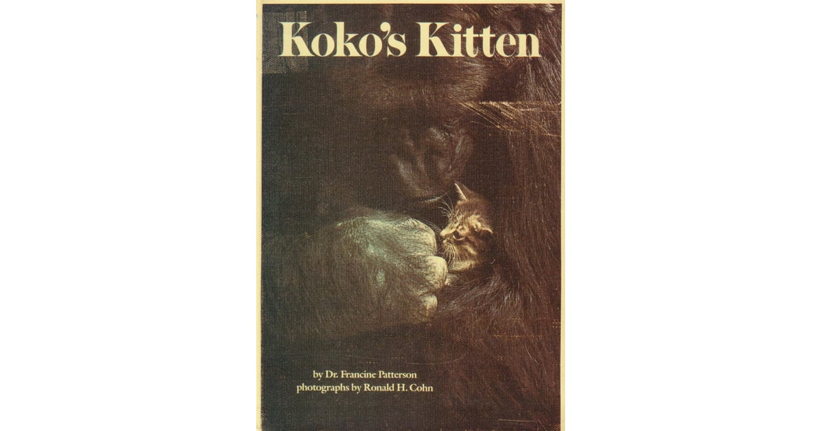 Koko's Kitten Books to Help Your Kid Cope With the Death of a Pet