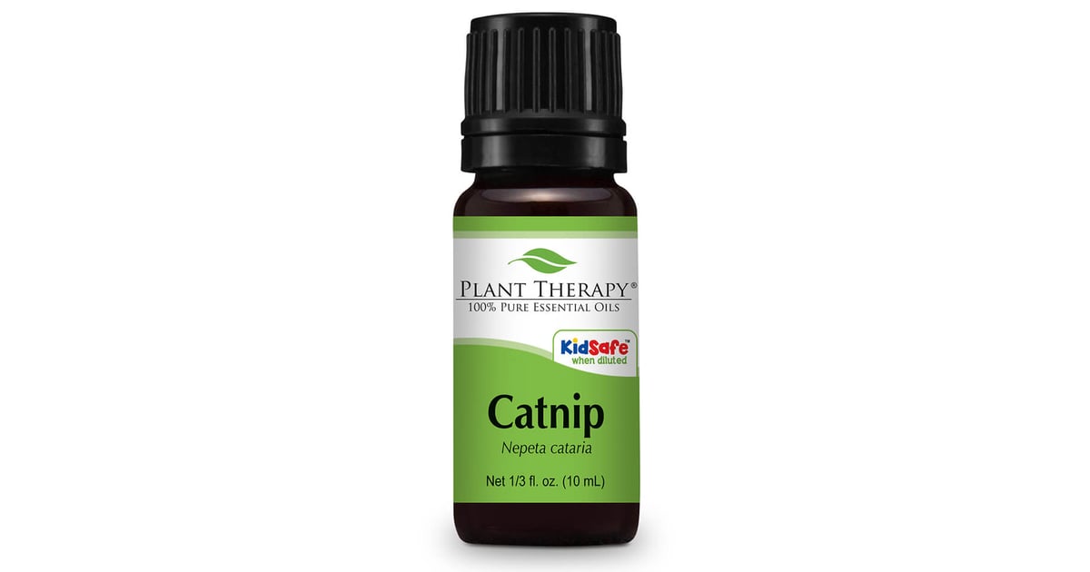 Catnip Oil Natural Remedies for Bug BItes POPSUGAR Fitness Photo 8