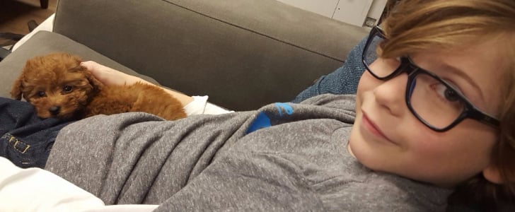 Jacob Tremblay's Dog, Rey