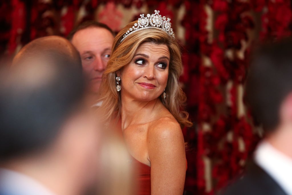 Queen Maxima's Claes Iversen Dress November 2016