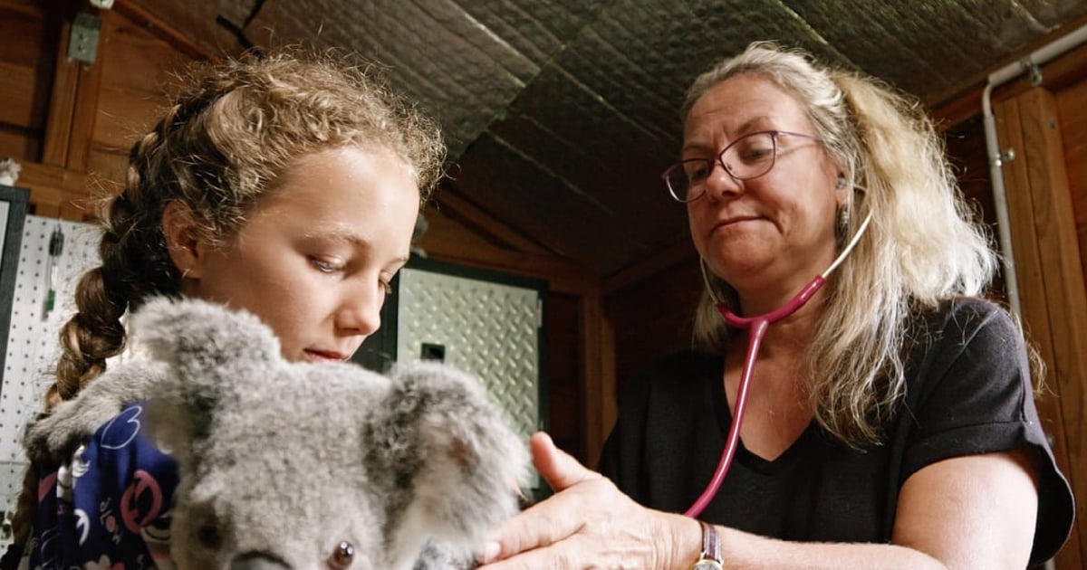 Why Kids Should Watch Izzy Bee's Koala World on Netflix ...