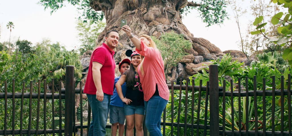 Family Photos at Disney World