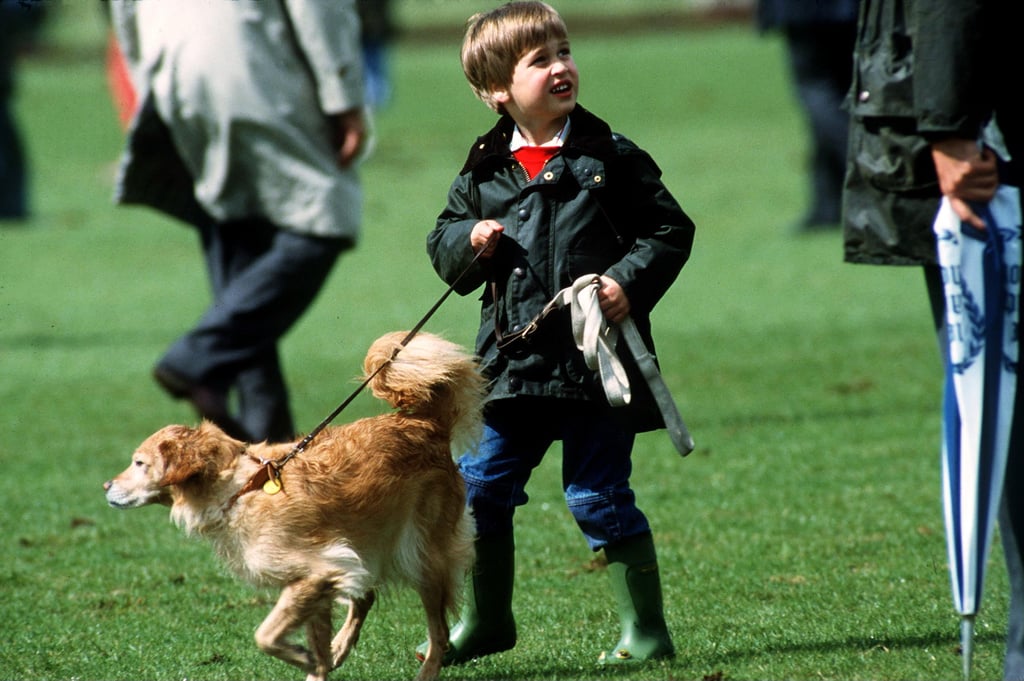 Prince William had a new play partner at the Cirencester polo field in June 1987.