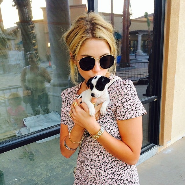 Ashley Benson got close to the tiniest puppy.
Source: Instagram user itsashbenzo