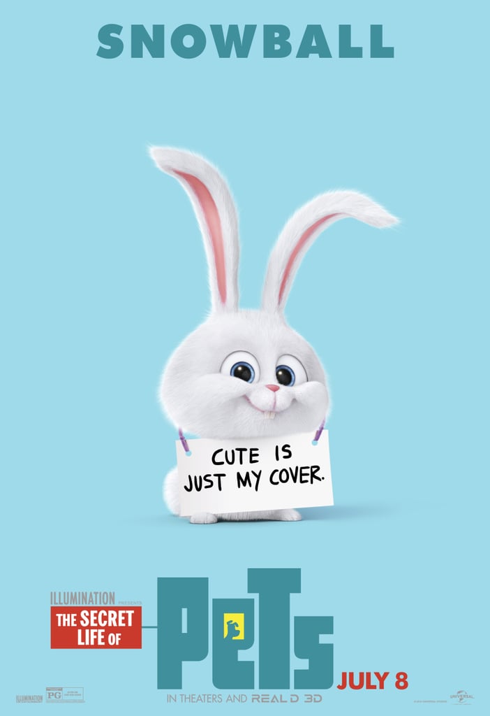 The Secret Life of Pets Character Posters