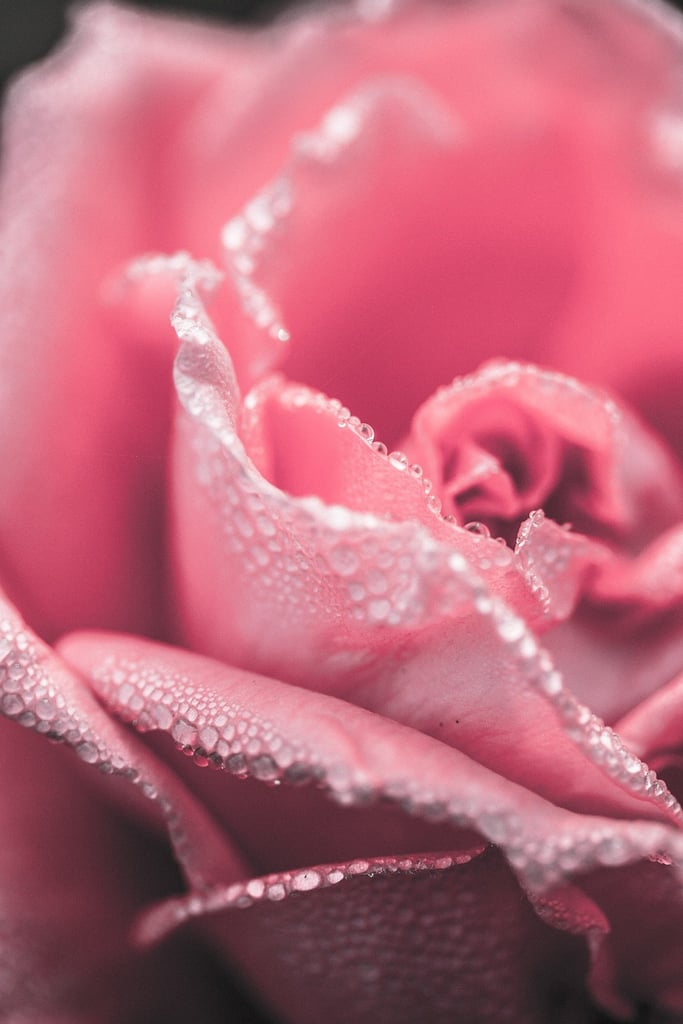 Best Ios 14 Wallpaper Ideas For Your Home Screen Aesthetic Popsugar Tech