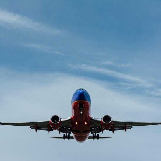 Airport Employee Secrets