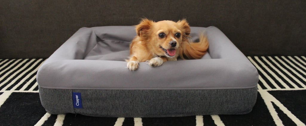 Casper Dog Bed Review