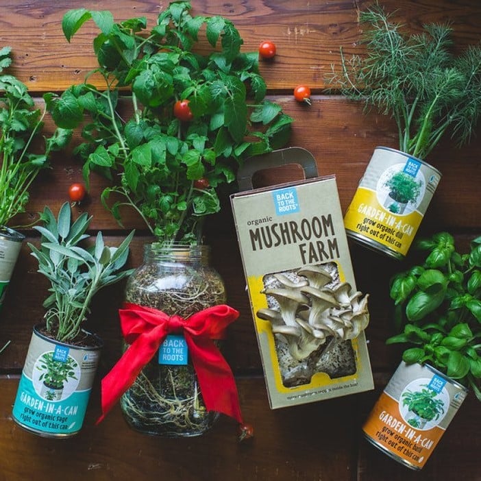 eco friendly gifts for mom