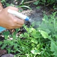 This 3-Ingredient Natural Weed Killer Really Works! Get the DIY Recipe Now