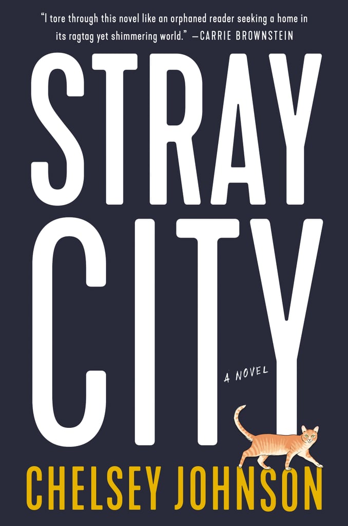 Stray City