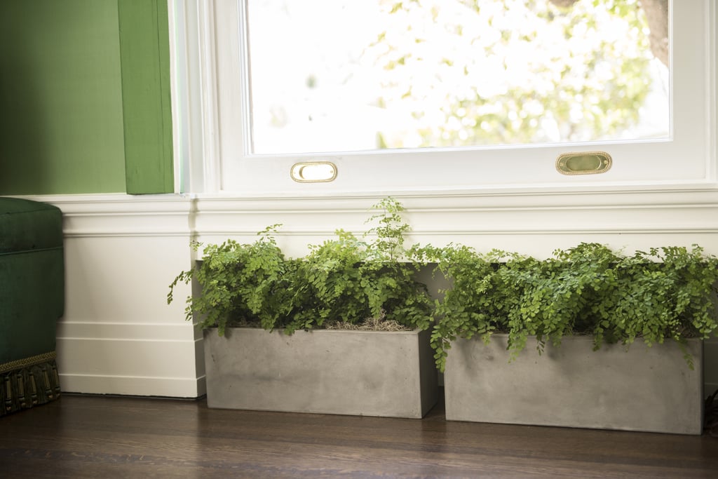 Indoor Flower Boxes POPSUGAR Home