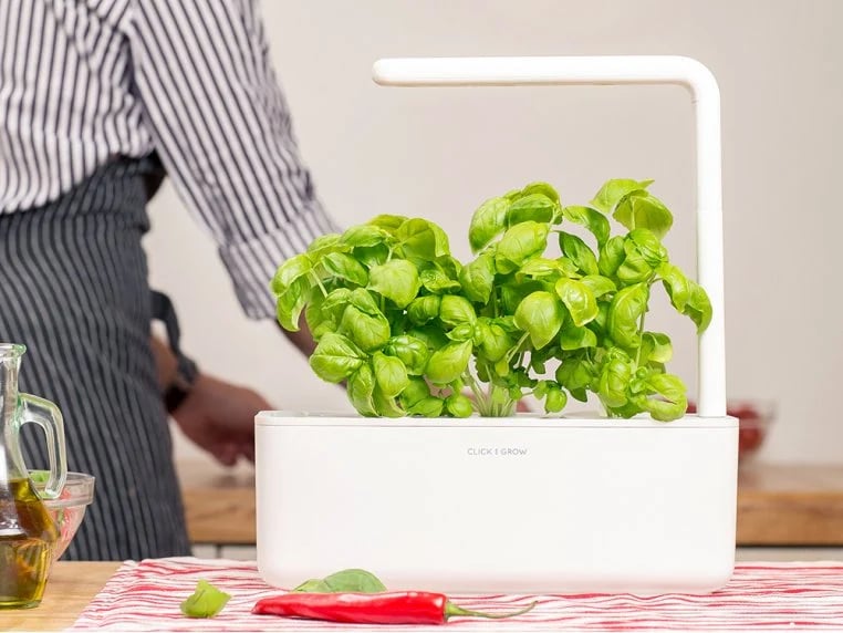 For the Plant Parent: Smart Garden by Click & Grow