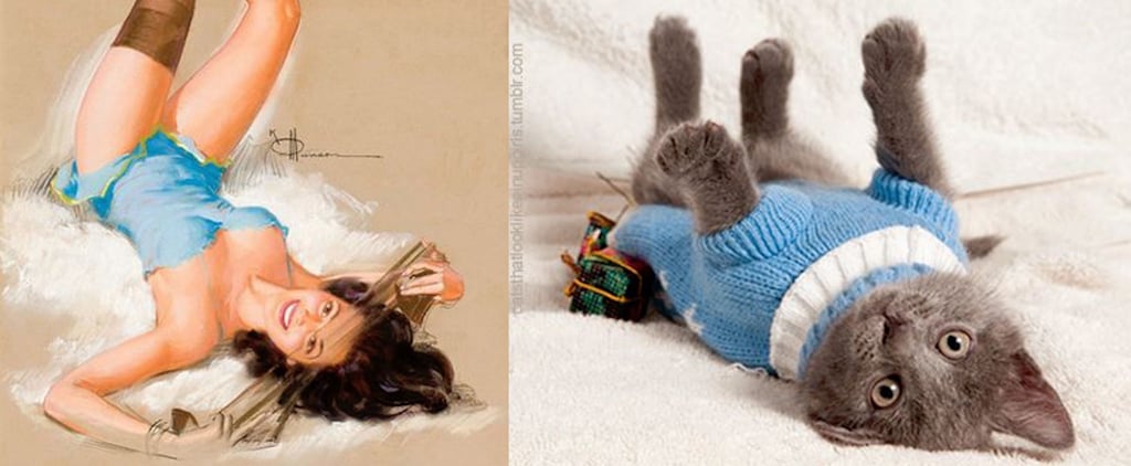 Cats That Look Like Pinup Girls