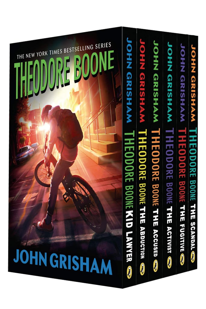 Theodore Boone Series