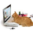 Keep Your Cat Busy With These 14 Cute and Time-Consuming Toys