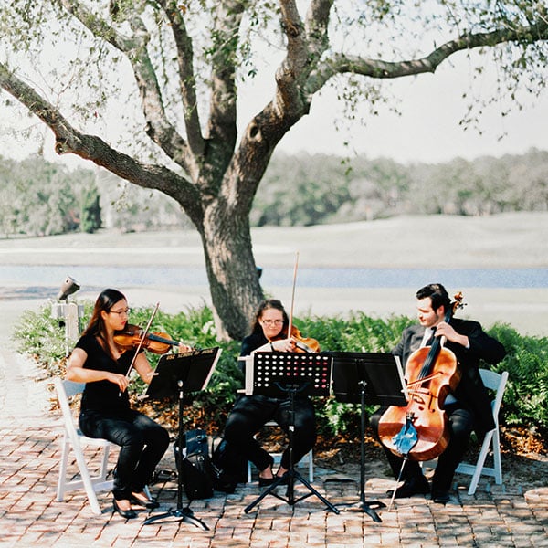 A string quartet creates an enchanting ceremony atmosphere — consider hiring musicians from a local college to cut down on costs. A solo violinist, harpist, or vocalist are also lovely choices for couples with a classic wedding style.