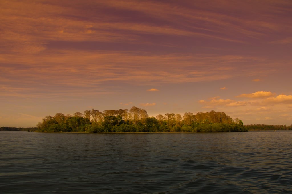 Abandoned Disney Park Photos