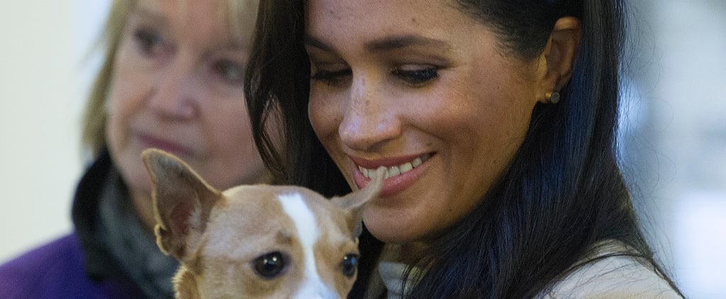 The Basic (and Important) History of Royal Patronages