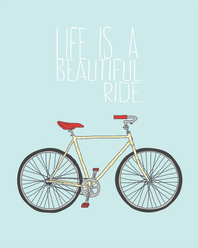 Enjoy the Ride