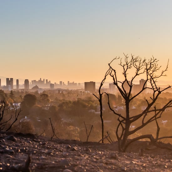 How to Protect Your Skin and Hair From Wildfire Smoke