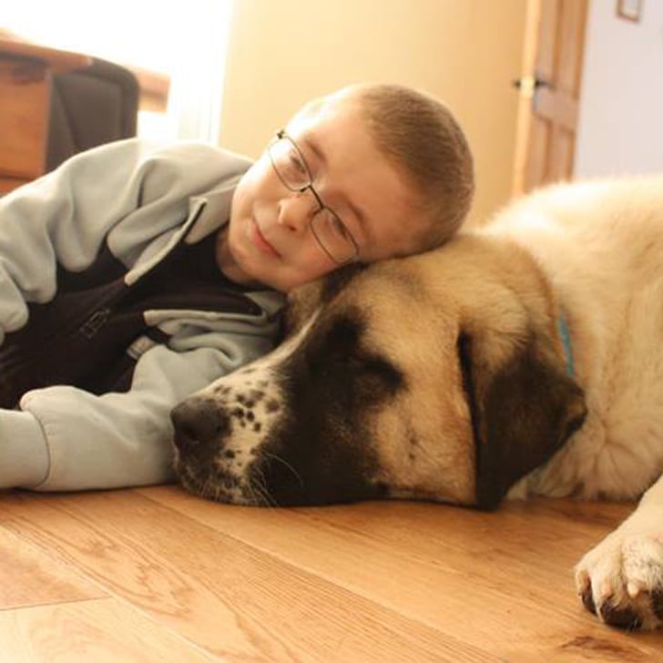 Boy With Schwartz Jampel Syndrome Gets Help From Dog Haatchi Popsugar Family